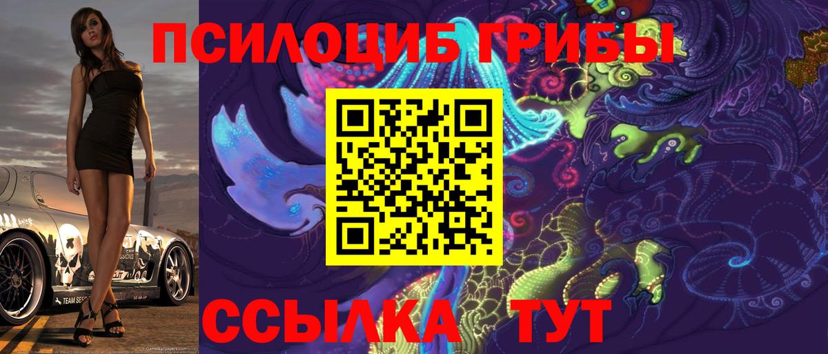 Псилоцибиновые грибы Psilocybe Кострома