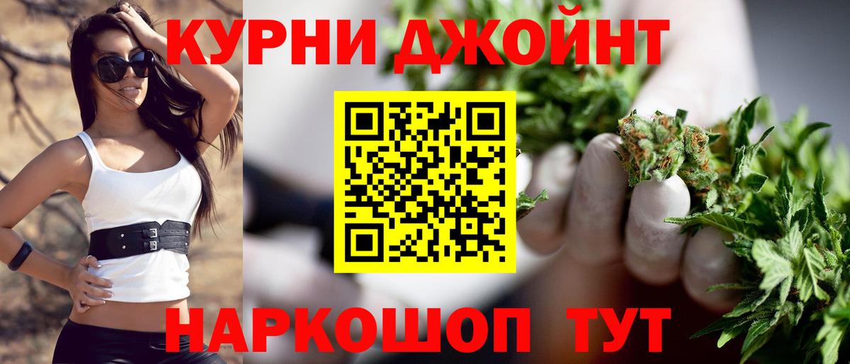Каннабис сатива Кострома